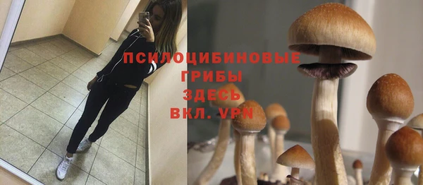 винт Абинск