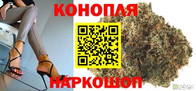 крисы Ливны