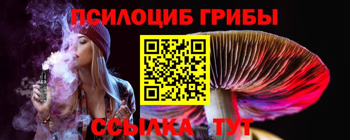 закладка  Галлюциногенные грибы Psilocybine cubensis  Вход с VPN  Киров 